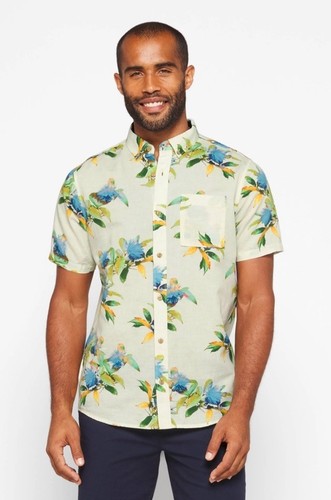 Camicia uomo roark scholar - camicia,