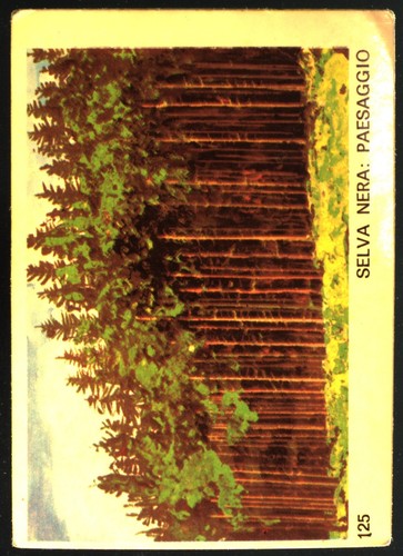 Italia figurina 125 - italia, (1975)