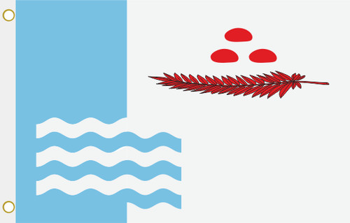 Bandiera riudellots - bandiera,